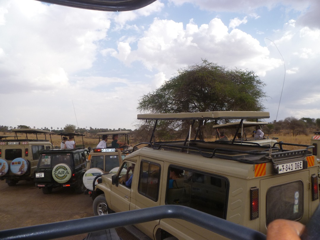 Cultural Dining Experience